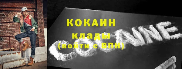 прущие грибы Корсаков