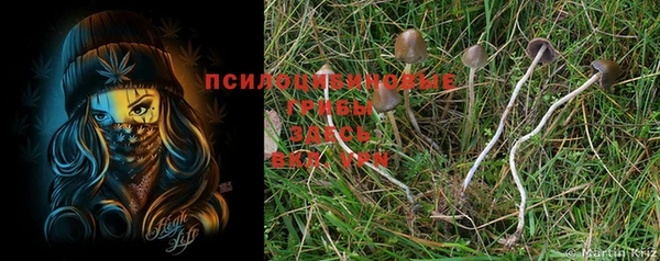 герыч Коряжма