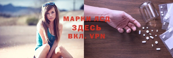 прущие грибы Корсаков
