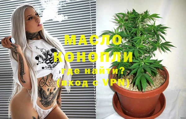 прущие грибы Корсаков