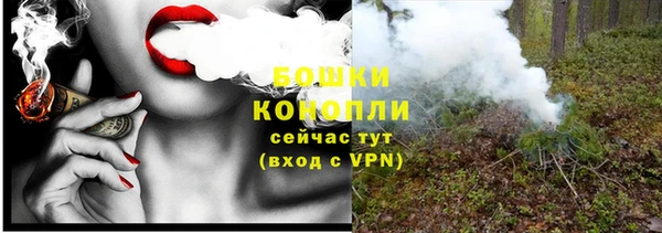 прущие грибы Корсаков