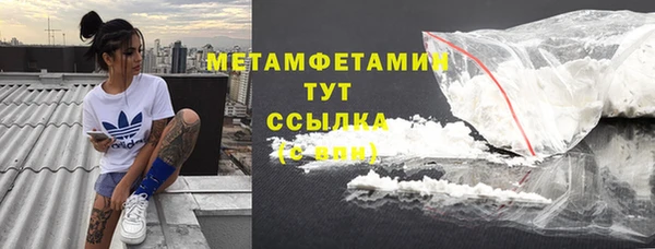 прущие грибы Корсаков