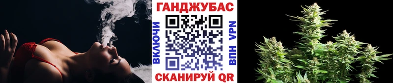купить закладку  Тотьма  Каннабис план 